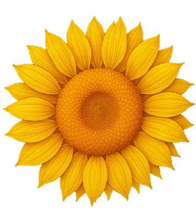 Sunflower Ultra High Relief 10 oz Colorized Copper (New in Capsule)